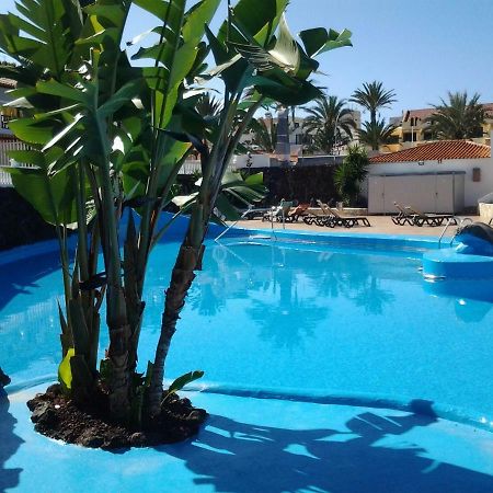 Paraiso Royal Dany & Pina Playa de las Americas  Ngoại thất bức ảnh